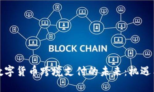 海南数字货币跨境支付的未来：机遇与挑战