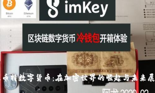 丘币特数字货币：在加密世界的崛起与未来展望