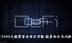 龙岗5000元数字货币项目详