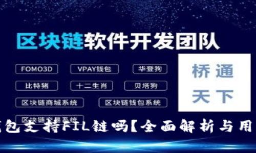 : TP钱包支持FIL链吗？全面解析与用户指南