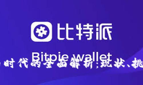 美国数字货币时代的全面解析：现状、挑战与未来展望